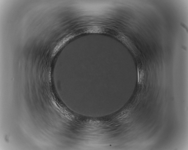 X0000102800531200808181203