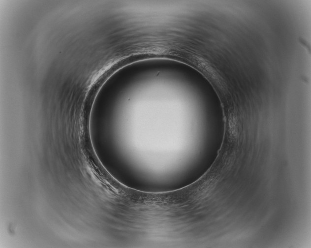 X0000102800532200808181203