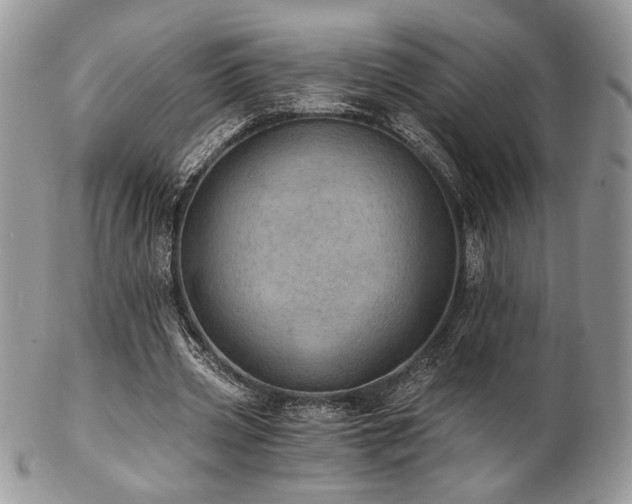 X0000102800533200808181203