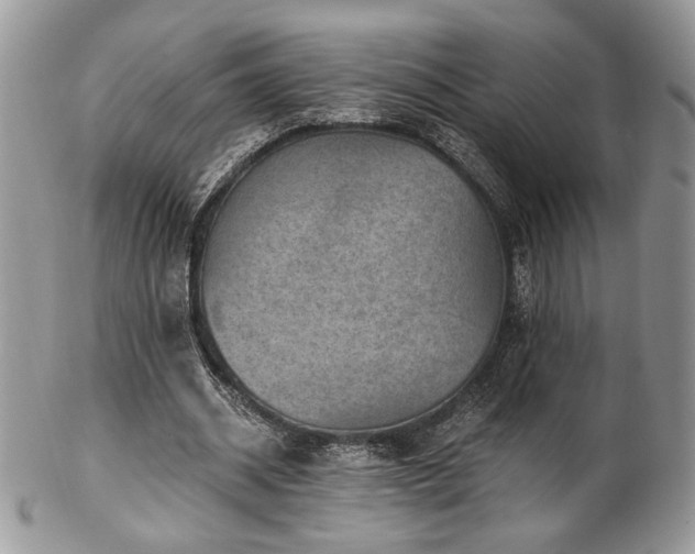 X0000102800534200808181203