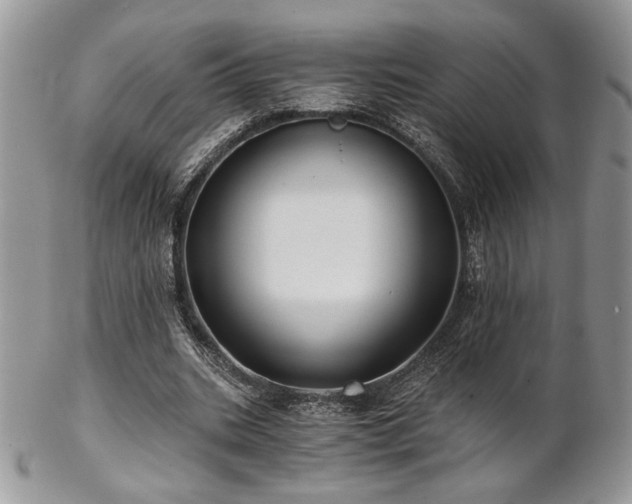 X0000102800535200808181203
