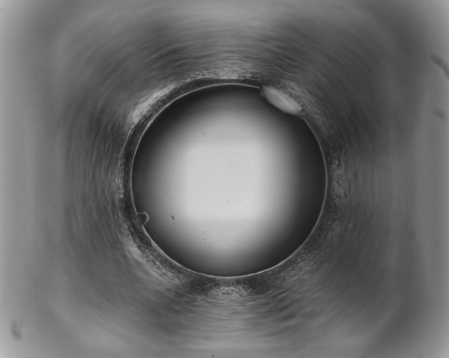 X0000102800536200808181203