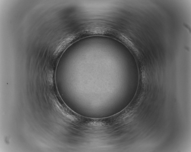 X0000102800537200808181203