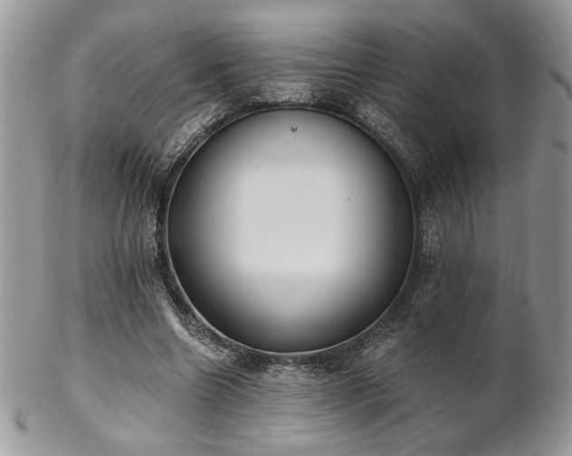 X0000102800538200808181203
