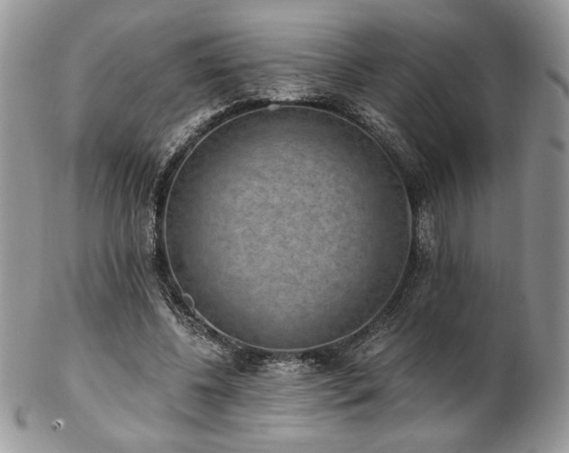 X0000102800540200808181203