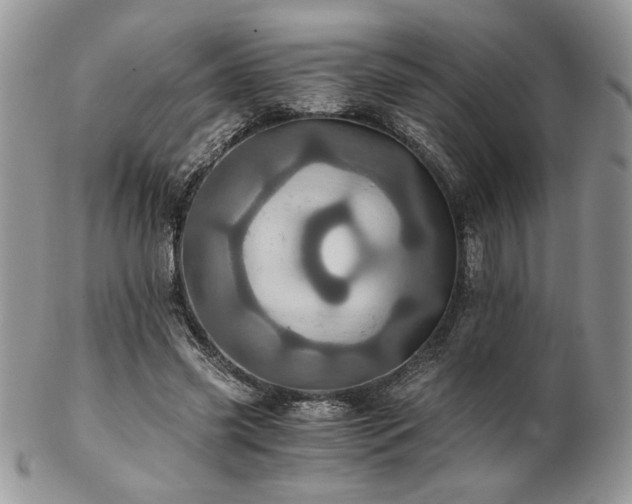 X0000102800541200808181203