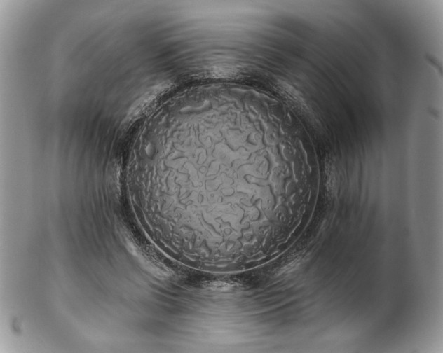 X0000102800542200808181203
