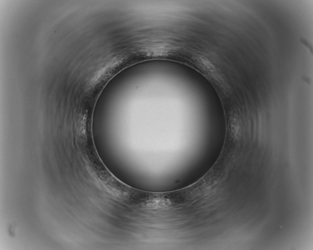 X0000102800543200808181203