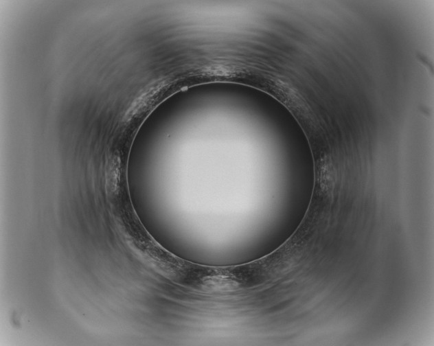 X0000102800544200808181203