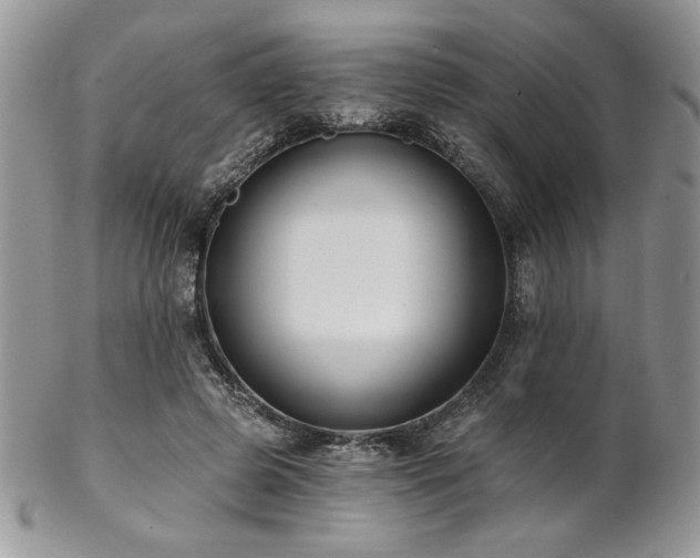 X0000102800545200808181203