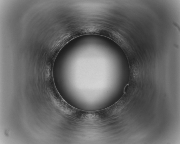 X0000102800546200808181203