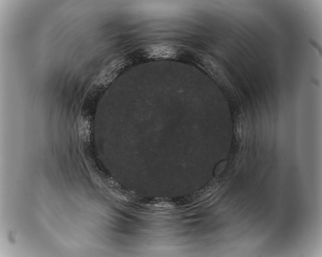 X0000102800551200808181203