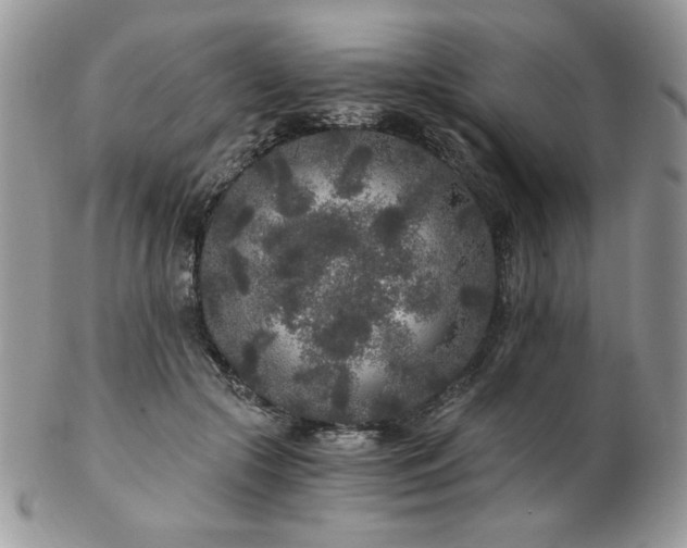 X0000102800553200808181203
