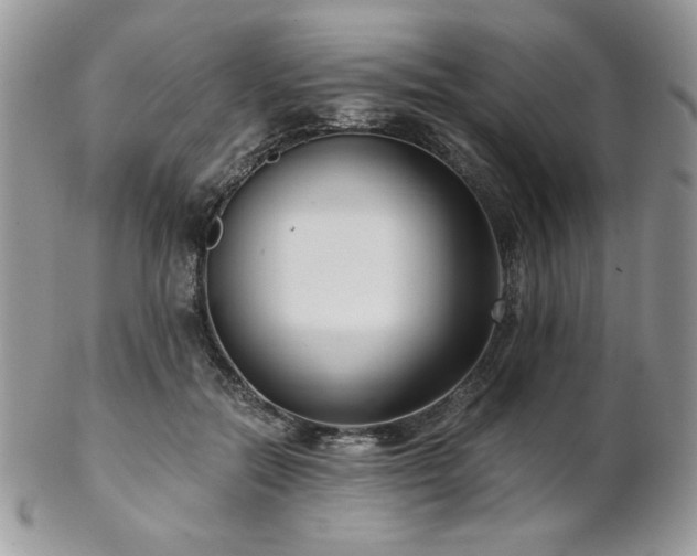 X0000102800554200808181203