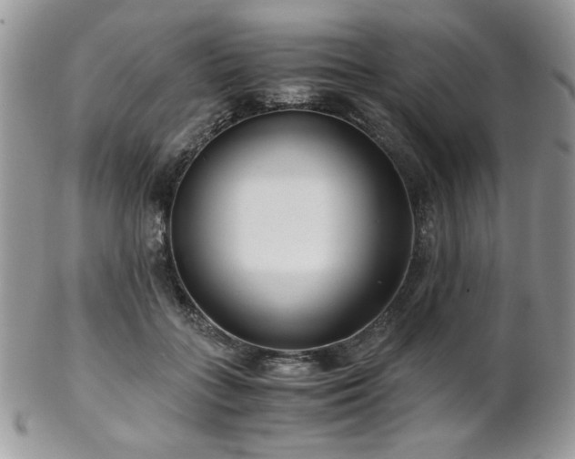 X0000102800555200808181203