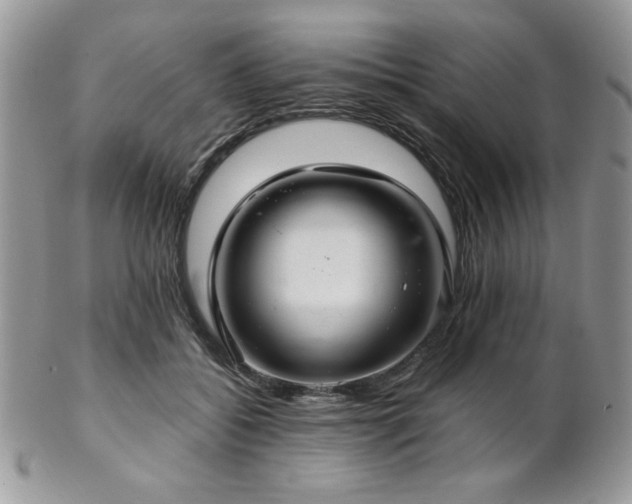 X0000102800556200808181203