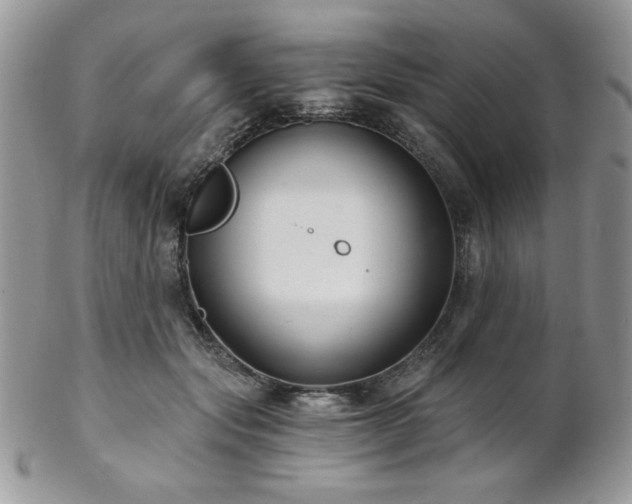 X0000102800557200808181203