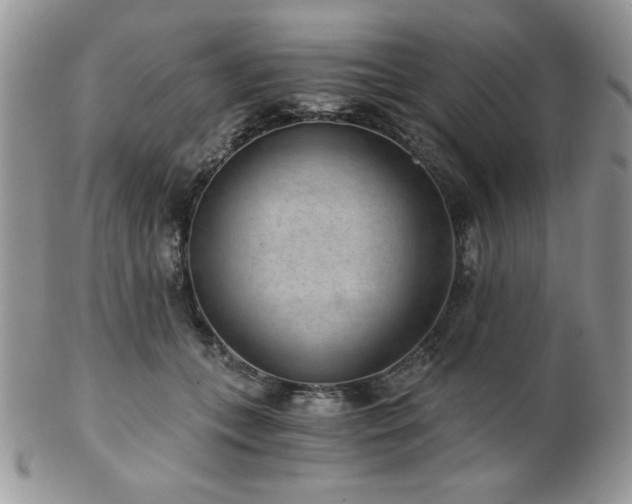 X0000102800559200808181203