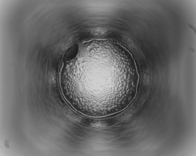 X0000102800561200808181203