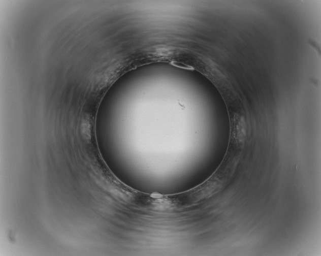 X0000102800562200808181203
