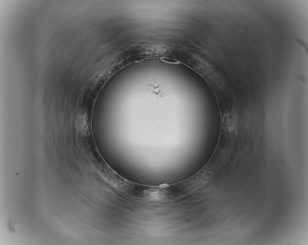 X0000102800564200808181203