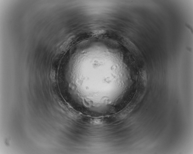 X0000102800565200808181203