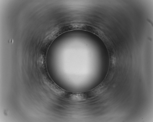 X0000102800567200808181203
