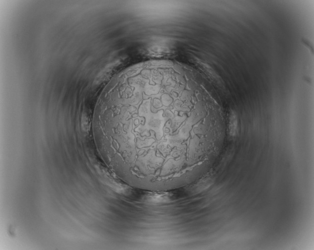 X0000102800569200808181203
