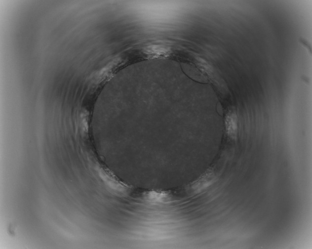 X0000102800570200808181203