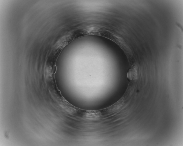 X0000102800571200808181203