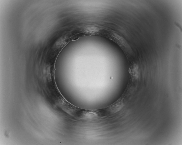 X0000102800572200808181203