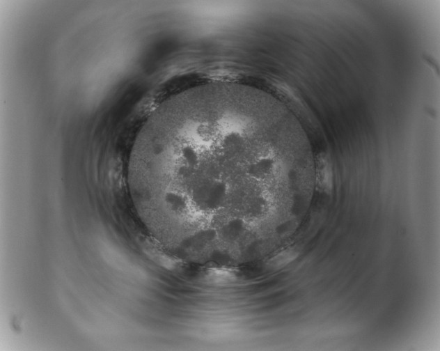 X0000102800573200808181203