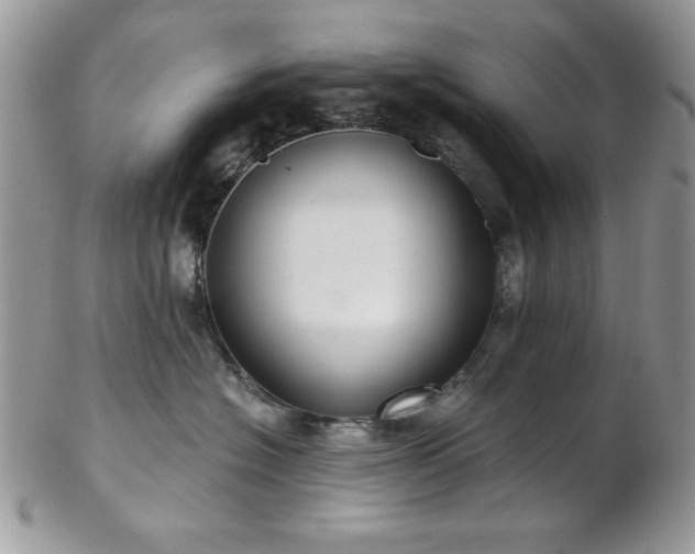 X0000102800574200808181203
