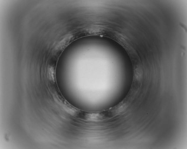 X0000102800575200808181203