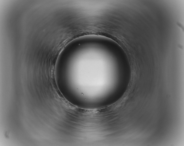 X0000102800576200808181203