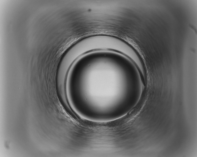 X0000102800577200808181202