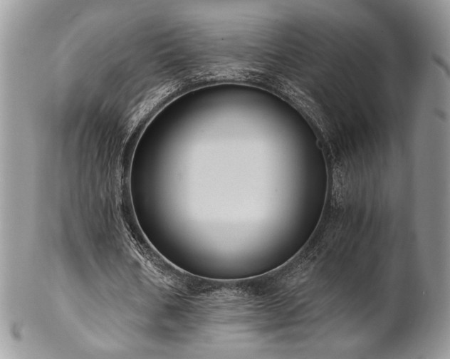X0000102800578200808181202