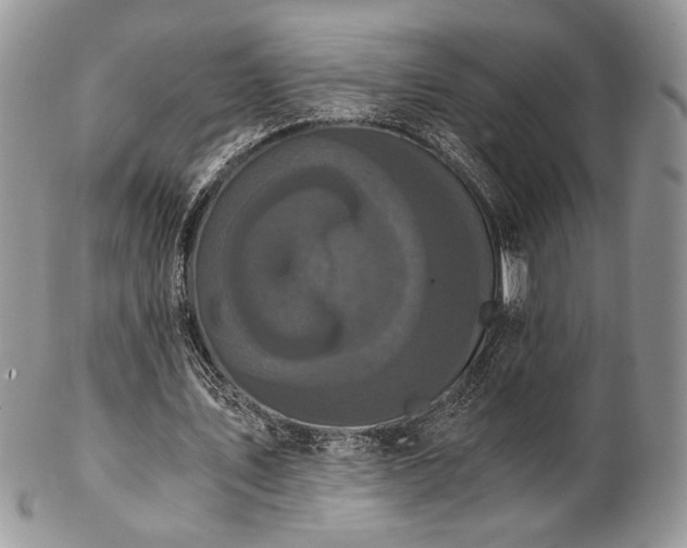 X0000102800579200808181202