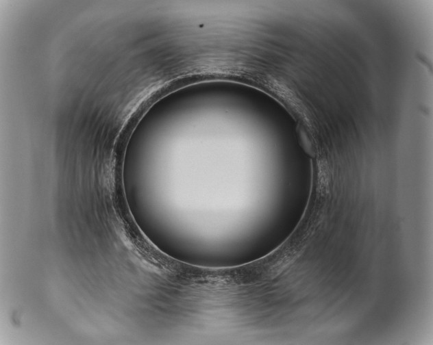 X0000102800580200808181202