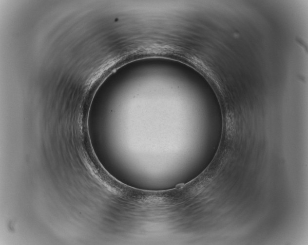 X0000102800581200808181202