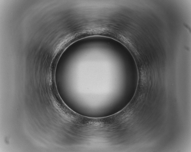 X0000102800582200808181202