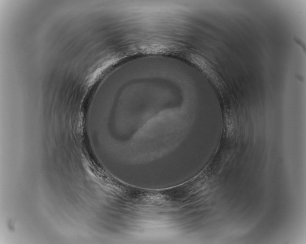X0000102800583200808181202
