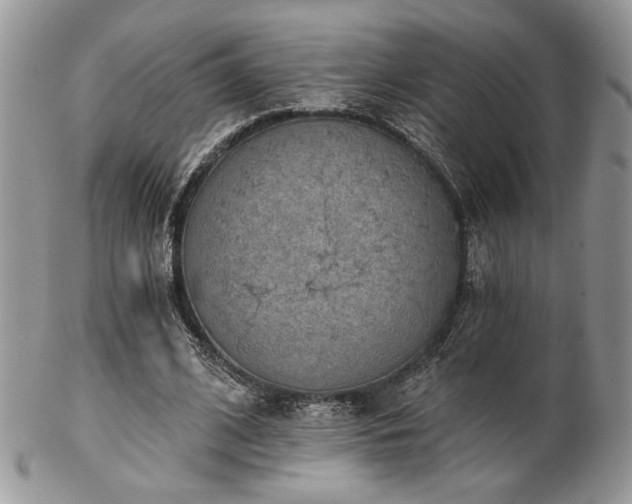 X0000102800584200808181202