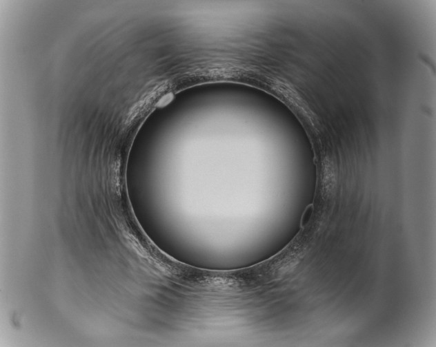 X0000102800585200808181202