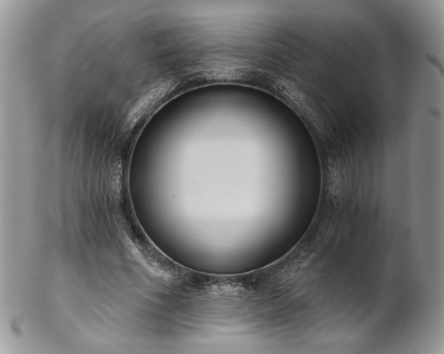 X0000102800586200808181202