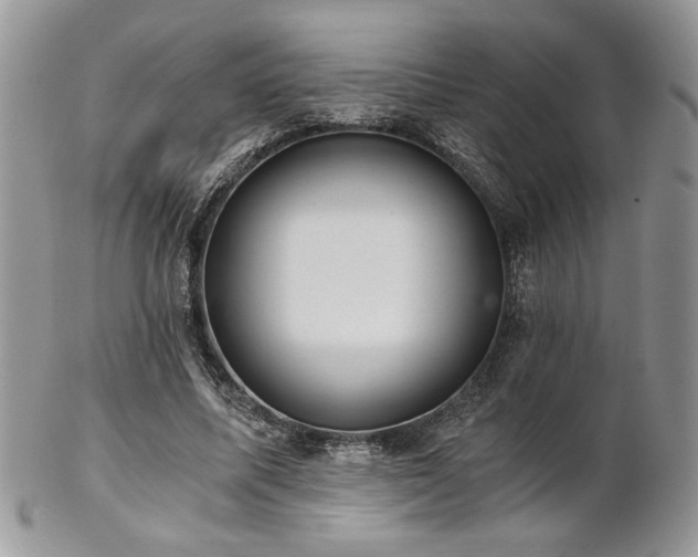 X0000102800587200808181202