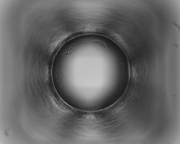 X0000102800588200808181202