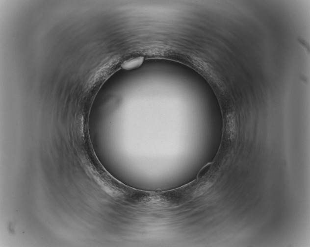 X0000102800589200808181202
