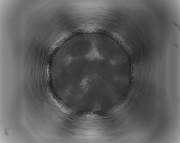X0000102800590200808181202