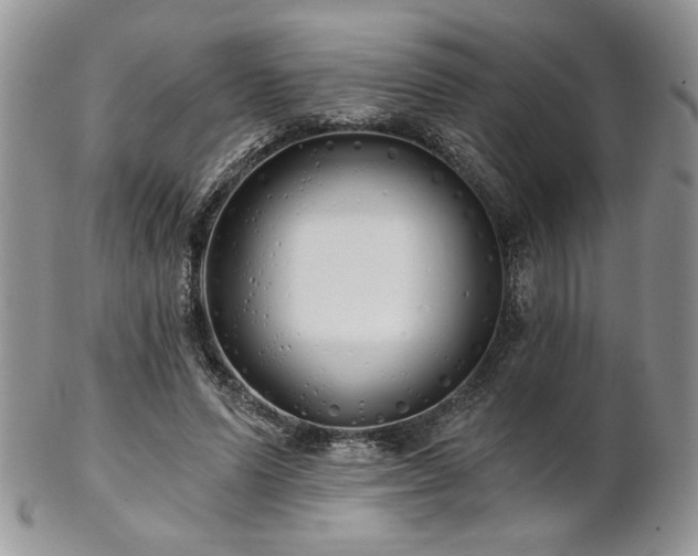 X0000102800591200808181202